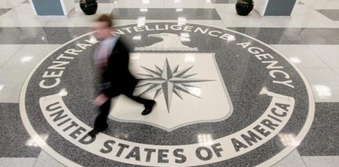 CIA America Wikileaks1 670x330 - CIA Contractors May be Source of Latest WikiLeaks Release: US Officials