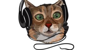 shutterstock cat headphones.jpgx648y348crop1 300x161 - shutterstock_cat_headphones.jpgx648y348crop1.jpeg