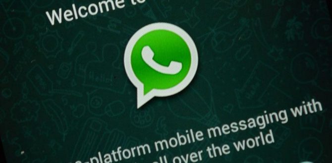 whatsapp AFPrelax 670x330 - Whatsapp May Stop Working For Windows Phone Users With Upcoming Update