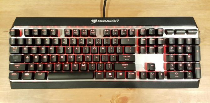 20161103 202350 100691868 large 670x330 - Cougar Attack X3 review: An unpretentious board with genuine Cherry keys