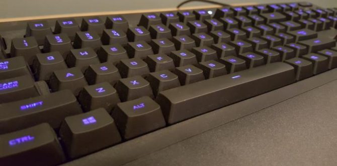 20170401 205012 100719535 large 670x330 - Logitech G213 Prodigy review: An ambitious keyboard that’s oversized and overpriced