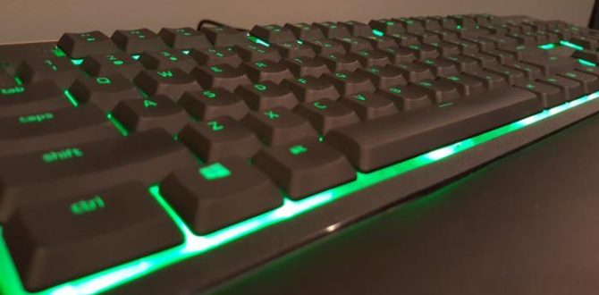 20170401 210649 100719526 large 670x330 - Razer Ornata review: An expensive rubber-dome keyboard that comes with a mechanical click