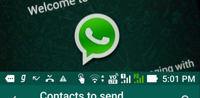 WhatsApp Update 670x330 - WhatsApp Update: Now You Can Send Over 200 Contacts At Once