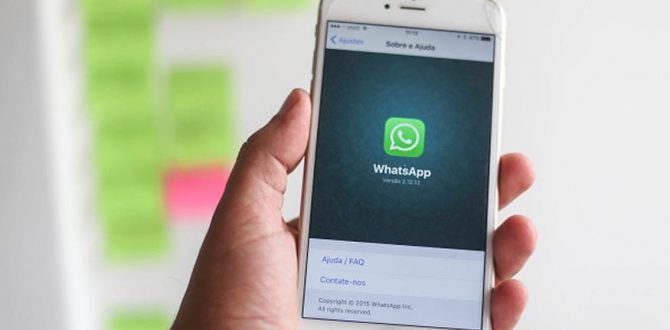 Whatsapp on iPhone 670x330 - Offensive WhatsApp Posts Can Land Group Admin in Jail