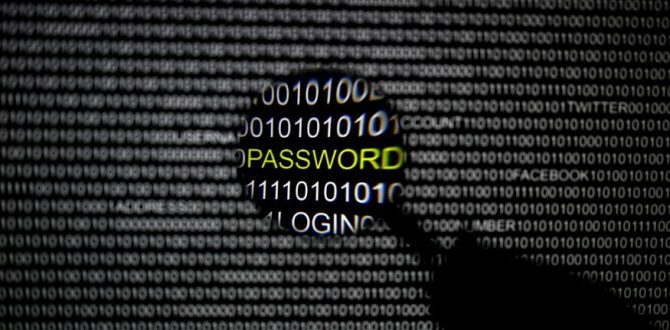 cyber crime 670x330 - Shadow Brokers, Hacker Group, Releases Password to Alleged NSA Files