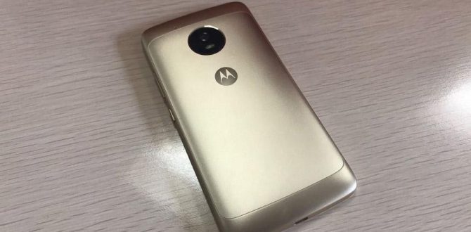 Moto G5 Back Panel 670x330 - Moto G5 vs Honor 6X: Which One Should You Buy?