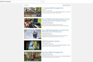 YouTube Search Tips n Tricks 2 300x200 - YouTube-Search-Tips-n-Tricks-2.jpg