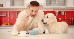 shutterstock dogfood 300x161 - shutterstock_dogfood.jpeg