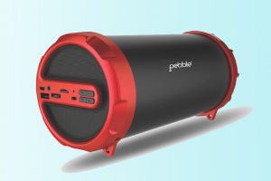 Pebble Bluetooth Speaker 300x200 - Pebble-Bluetooth-Speaker.jpg