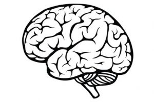 shutterstock brain icon teaser 300x199 - shutterstock_brain_icon_teaser.jpeg