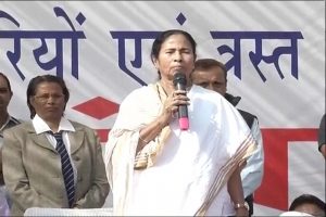 mamta pc live1711 300x200 - mamta_pc_live1711.jpg